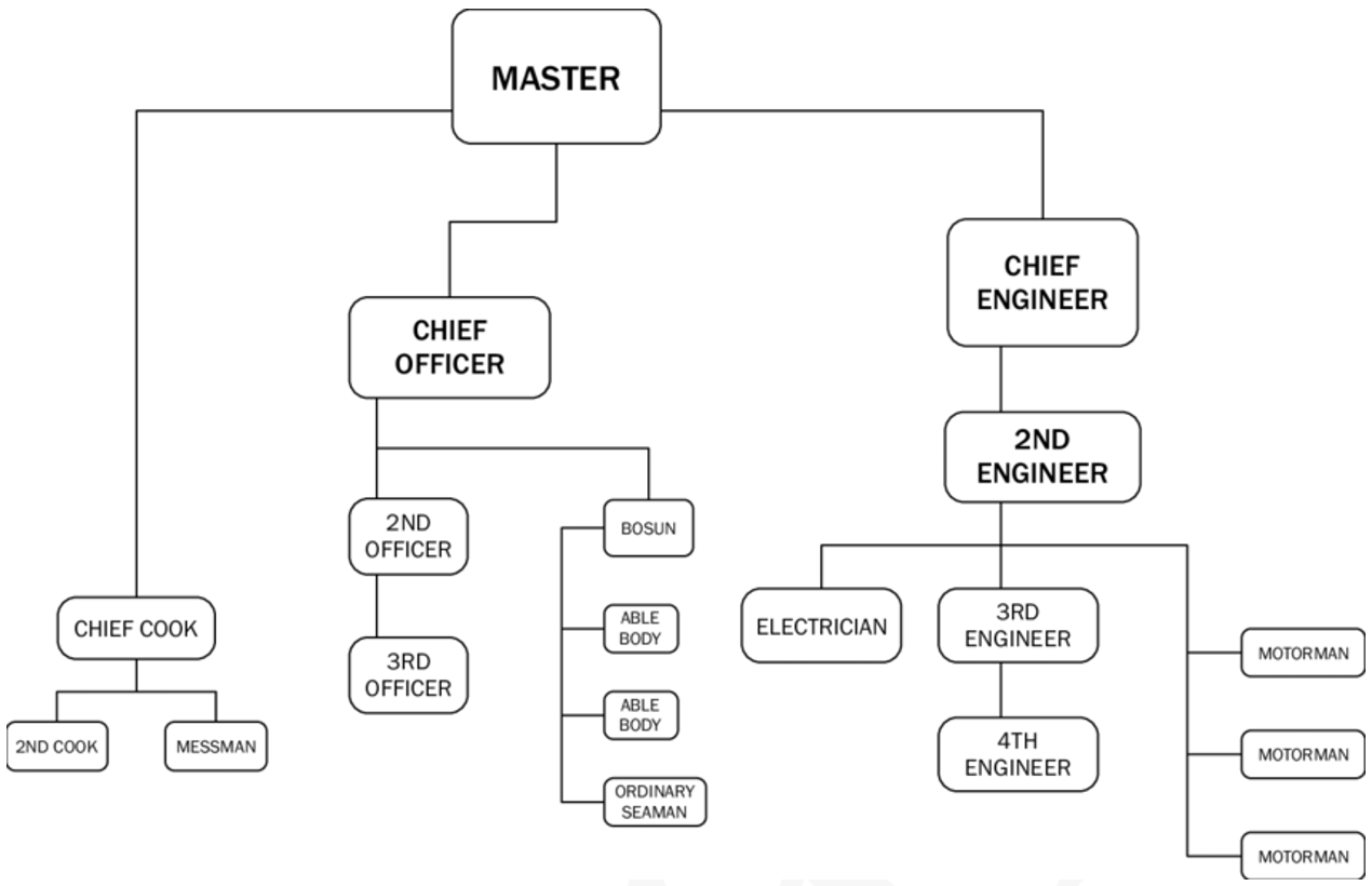 chief steward duties and responsibilities