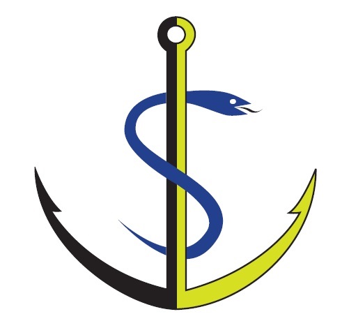 logo_NSMDM.jpg